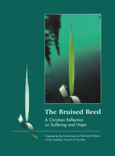 Book Cover: The Bruised Reed: A Christian Reflection on Suffering and Hope
